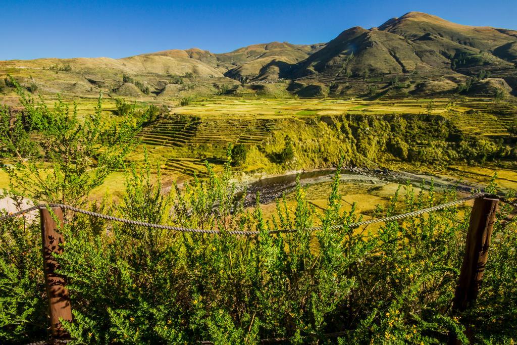 Eco Inn Colca Yanque المظهر الخارجي الصورة