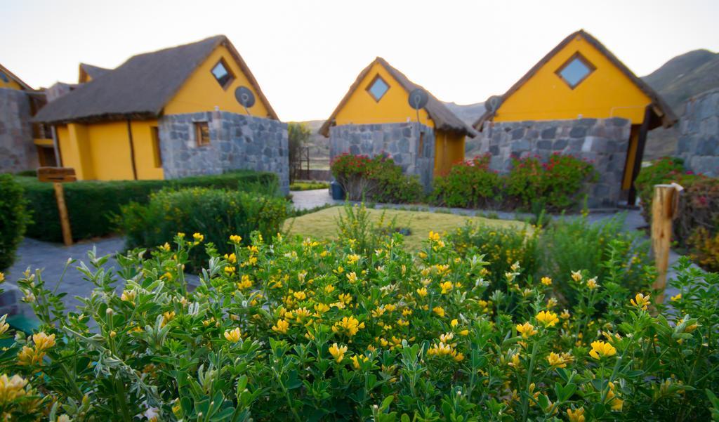 Eco Inn Colca Yanque المظهر الخارجي الصورة