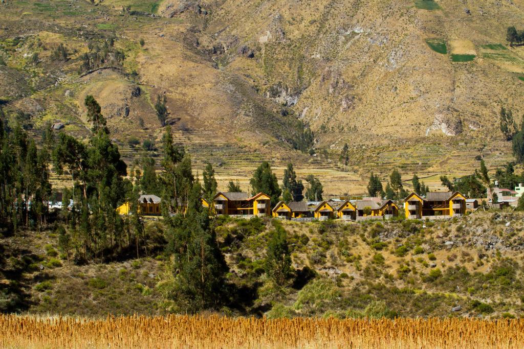 Eco Inn Colca Yanque المظهر الخارجي الصورة
