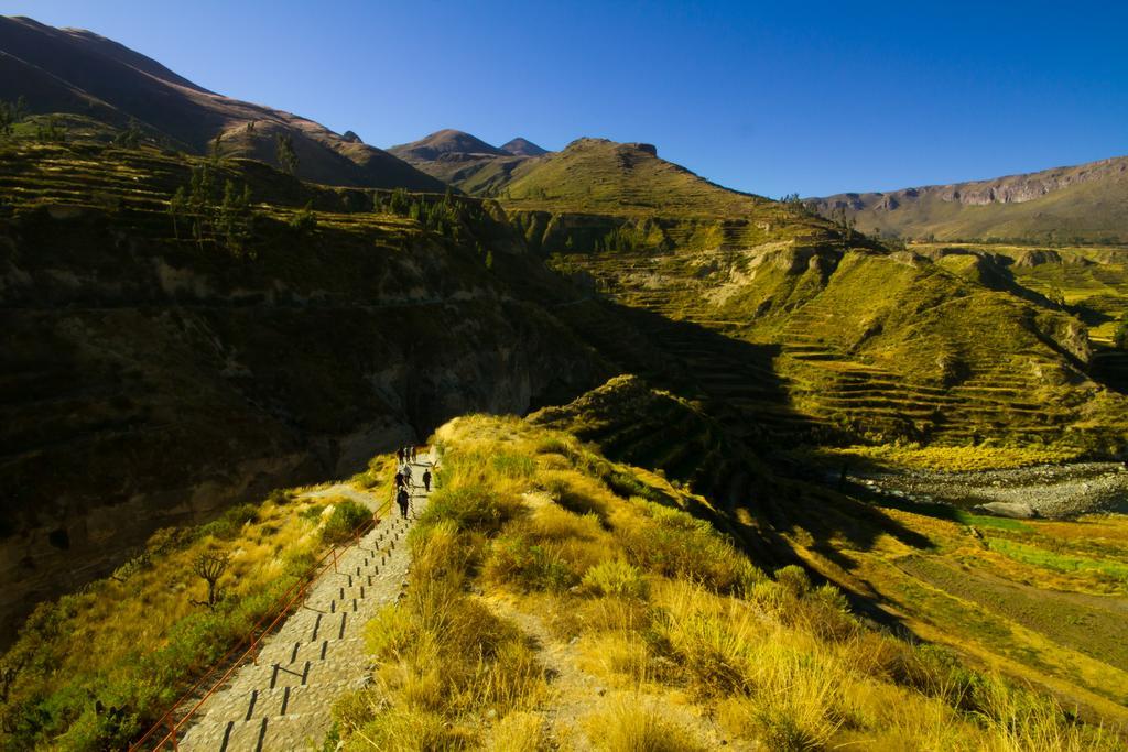 Eco Inn Colca Yanque المظهر الخارجي الصورة