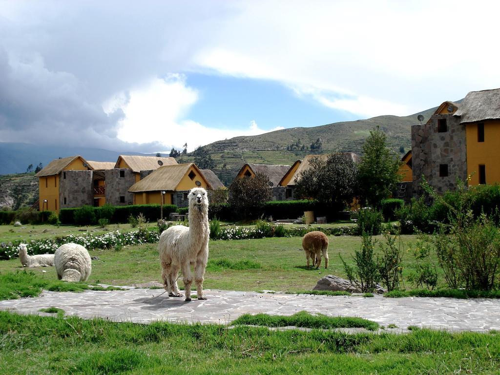 Eco Inn Colca Yanque المظهر الخارجي الصورة